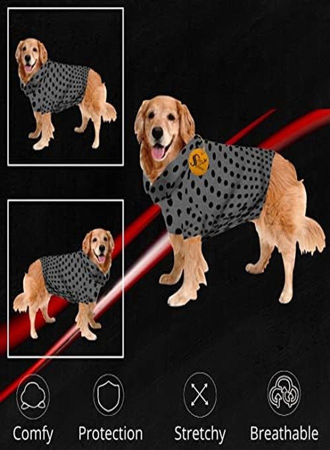 Sage Square Crazy Printed Dog T-Shirt, Trending T-Shirt, Ultra Soft & Light Weight Vest, Comfortable, Breathable Dog Apparel, Fashion Outfit (Small - 14 inch) (Polka Grey) - Image 3